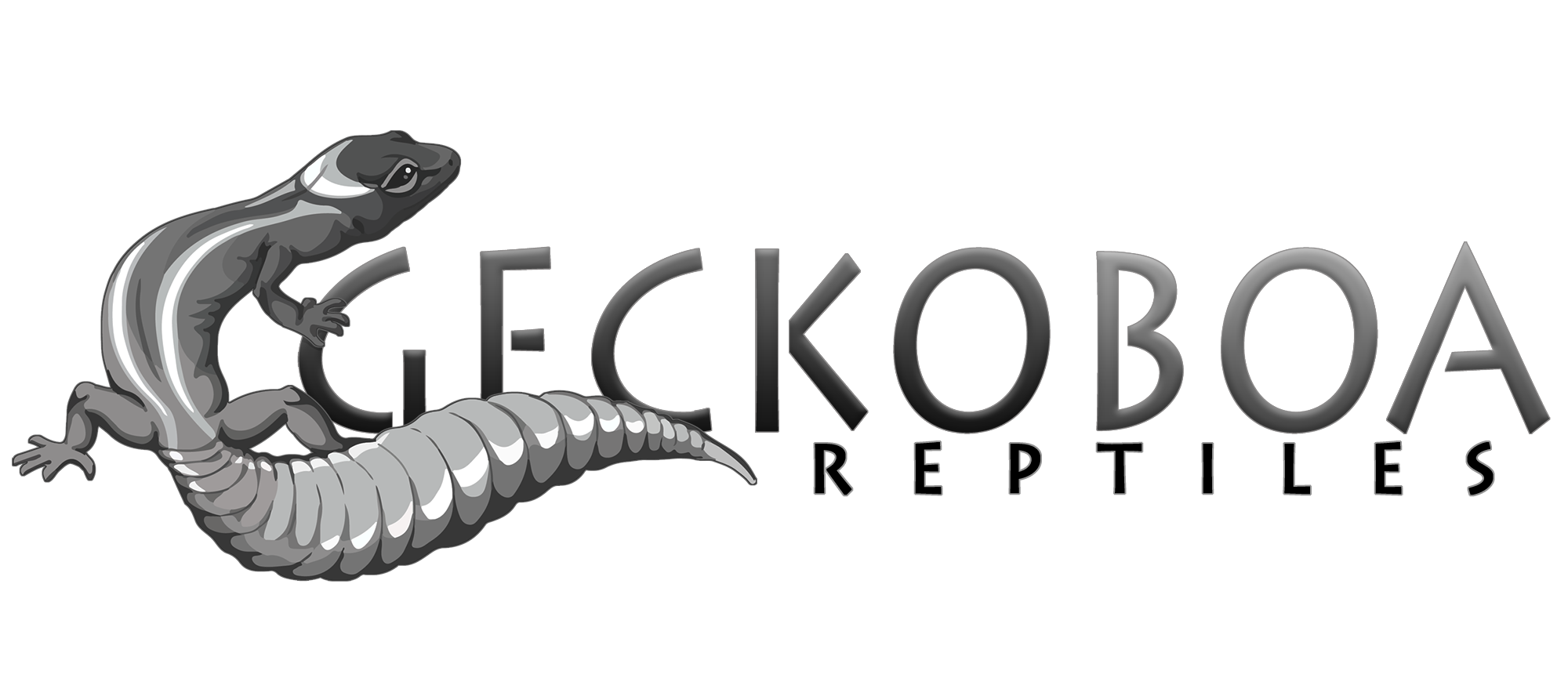 Geckoboa logo